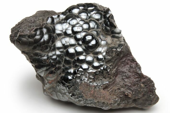 Kidney Ore (Botryoidal Hematite) - Morocco #203981